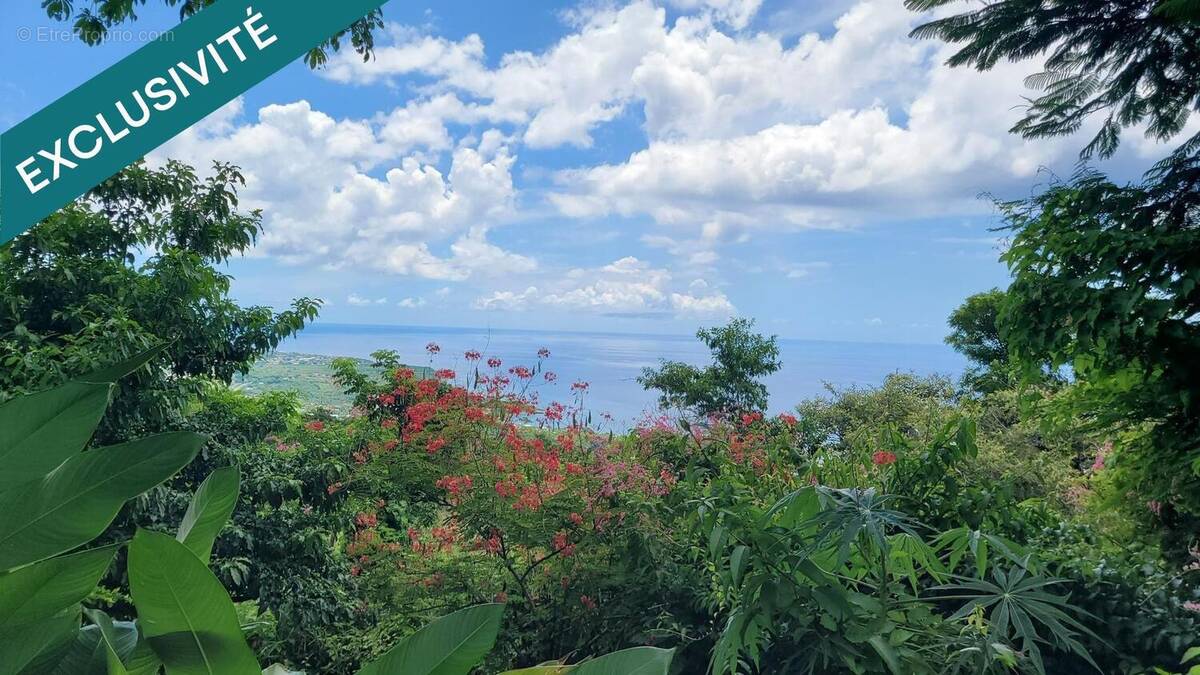 Photo 1 - Maison à BOUILLANTE