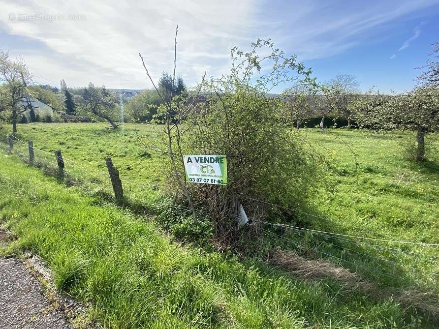 Terrain à DANNE-ET-QUATRE-VENTS