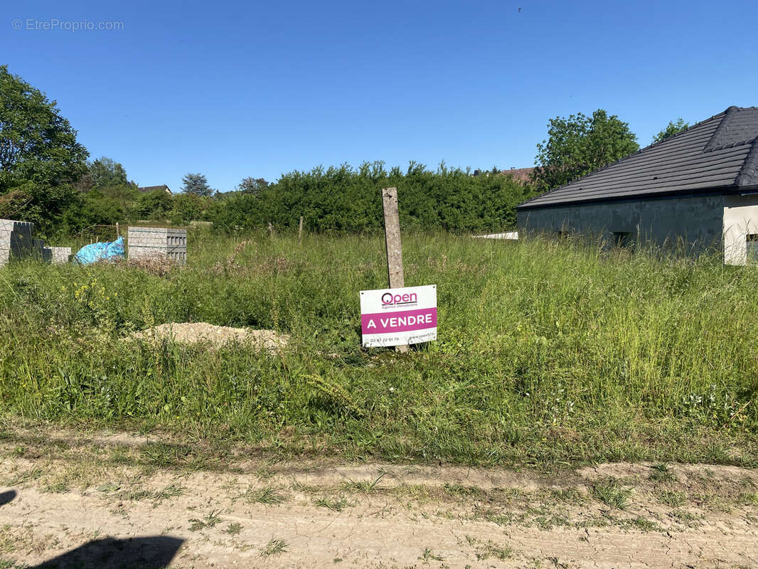 Terrain à BOUZONVILLE