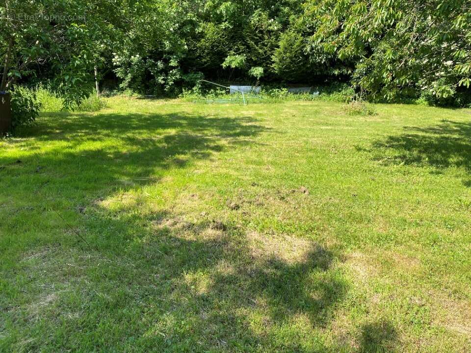 Terrain à BOISSISE-LA-BERTRAND