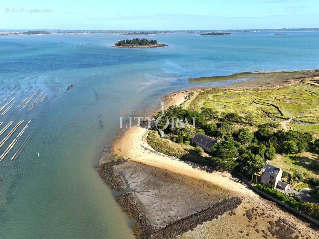 L’île d’Arz – Propriété unique en bord de mer - photo 11
