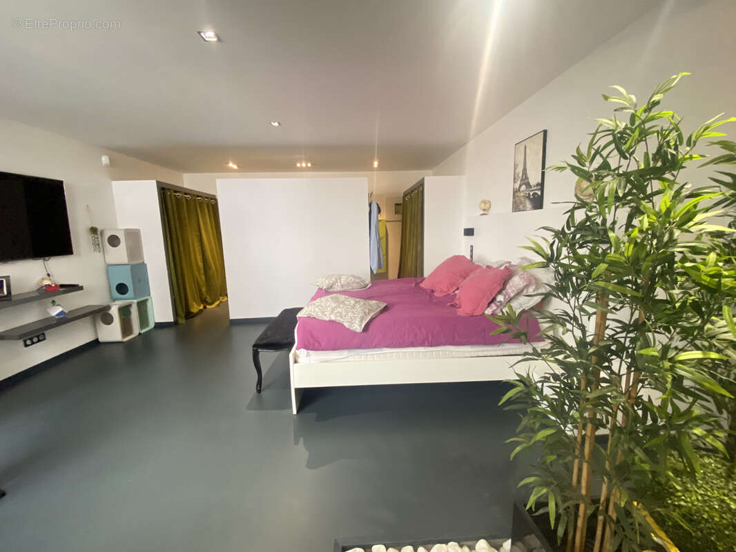 Autre à SAINT-ETIENNE