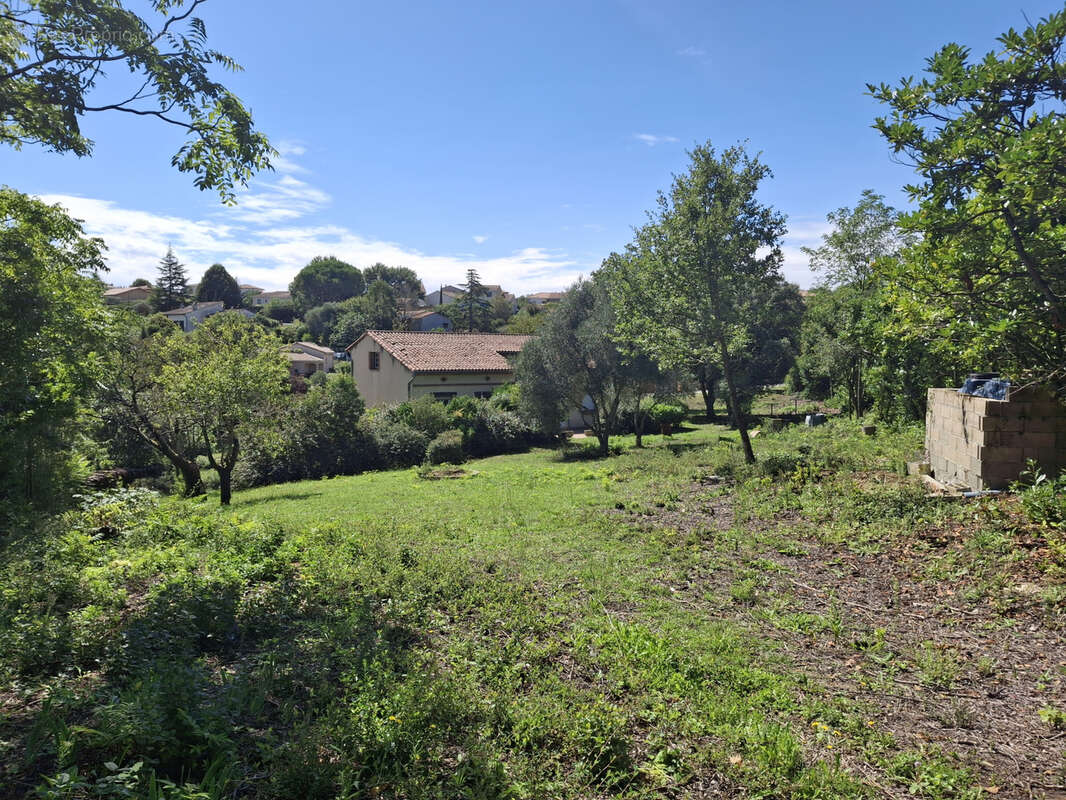 Terrain à PECHABOU
