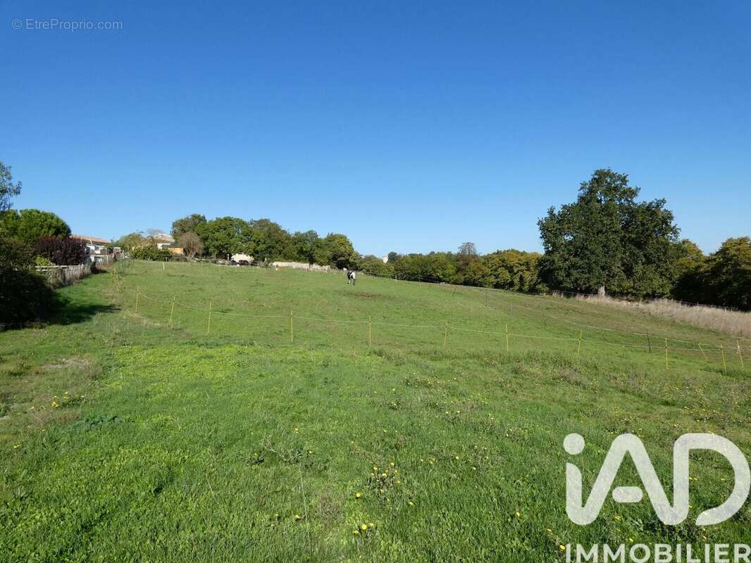 Photo 7 - Terrain à AUZAY