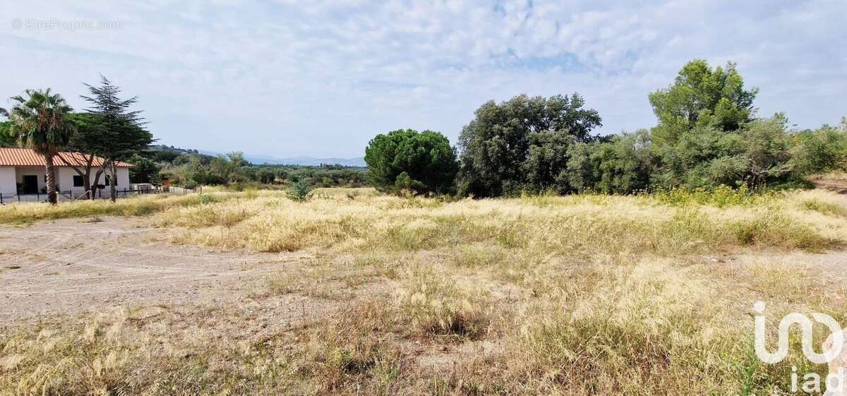 Photo 6 - Terrain à CASTELNOU