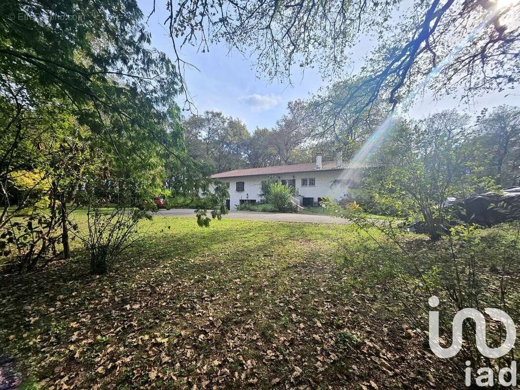 Photo 4 - Maison à SAINT-PAUL-LES-DAX