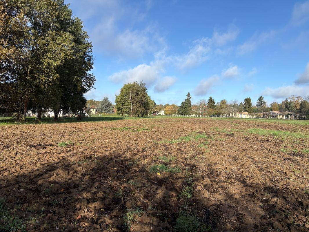 Terrain à SAINT-FRONT-DE-PRADOUX