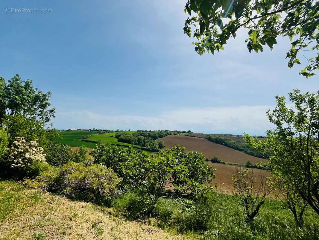 Maison à VILLEFRANCHE-DE-LAURAGAIS