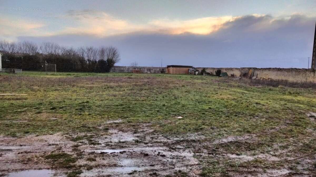 Terrain à NEUVILLE-DE-POITOU
