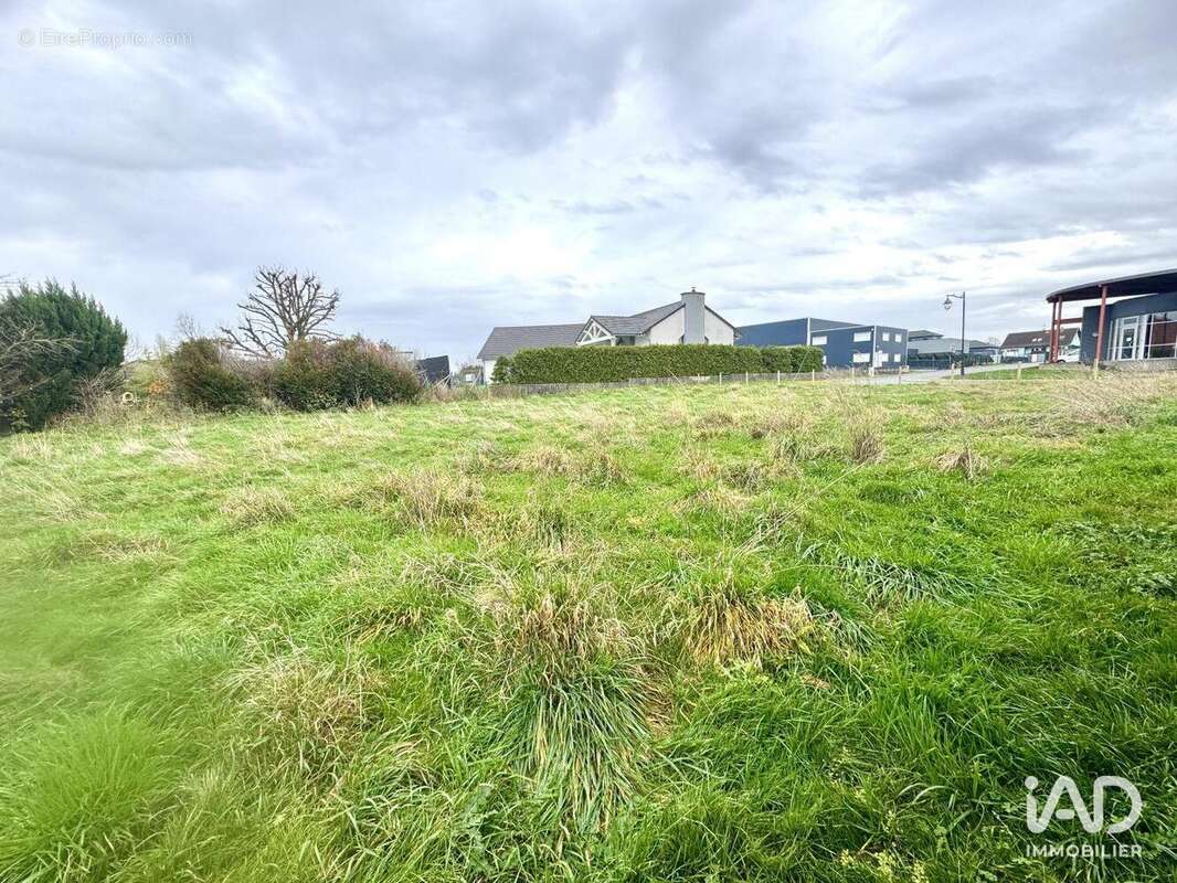 Photo 6 - Commerce à SAINT-JEAN-KOURTZERODE