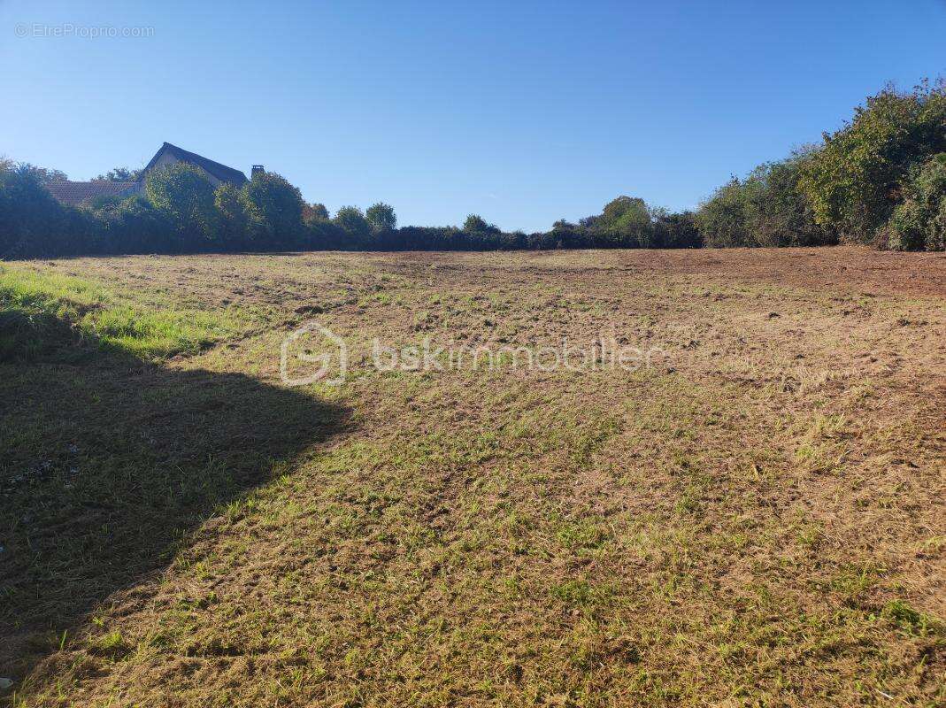 Terrain à CHAMPLOST