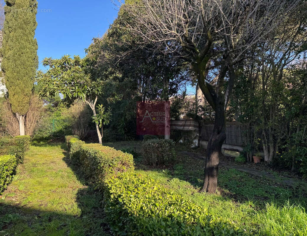 Vente maison 4 pieces montpellier arceaux assas - photo 3