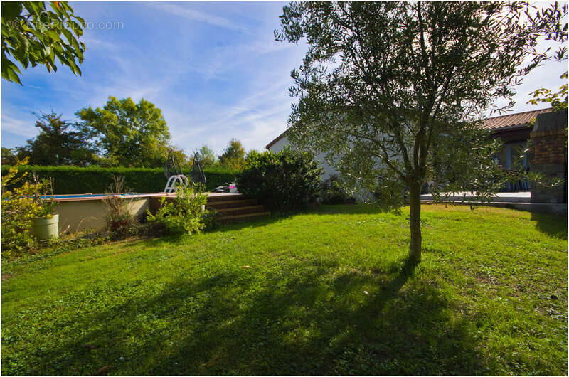 Maison à SAINT-GEORGES-LES-BAILLARGEAUX