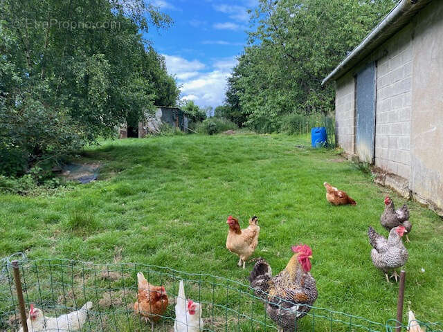 Ancien corps de ferme renover sur terrain de 3109 m2 - photo 18