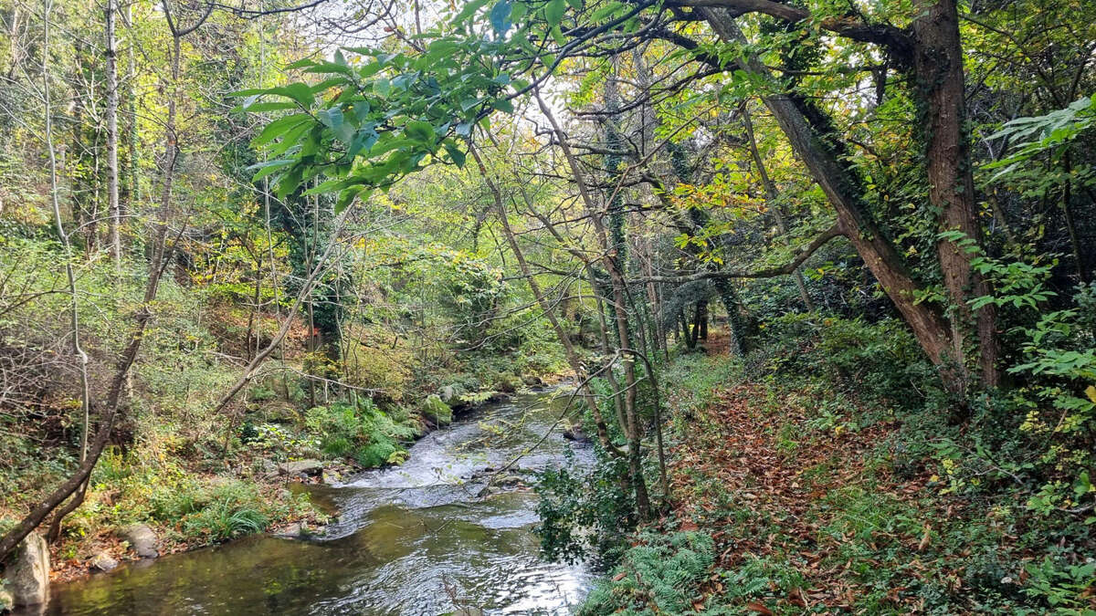 riviere - Maison à BROUSSES-ET-VILLARET