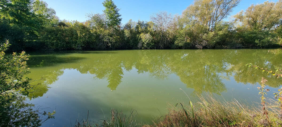 Terrain à CUY