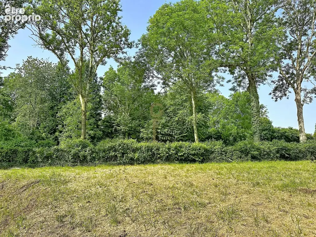 Terrain 4139 m² à Saint-Pierre-Azif  - photo 4