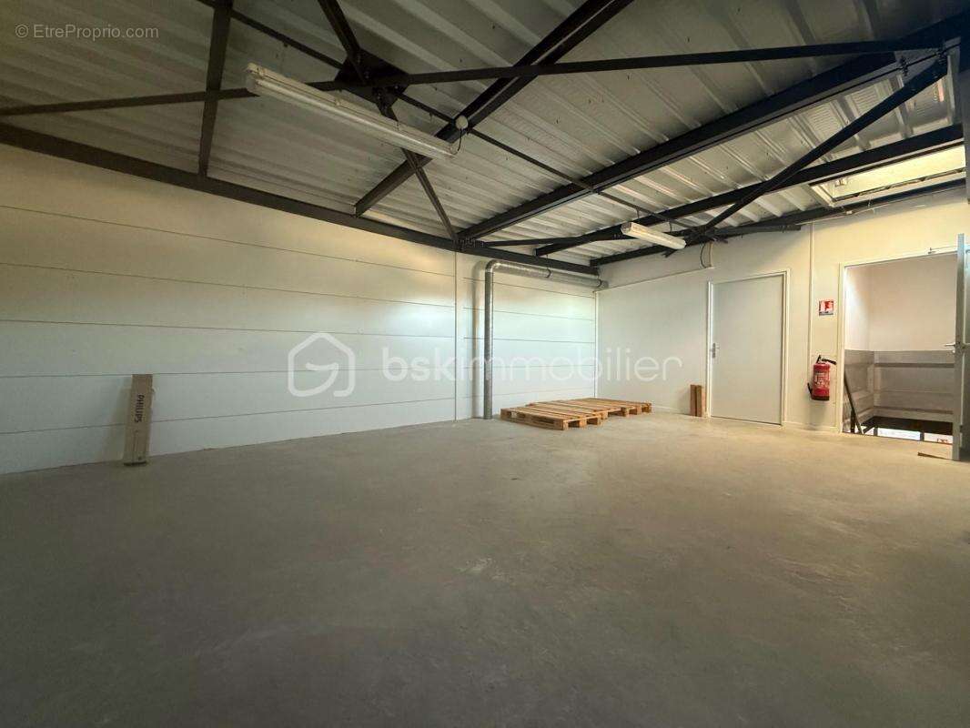 Commerce à SAINT-FELIX