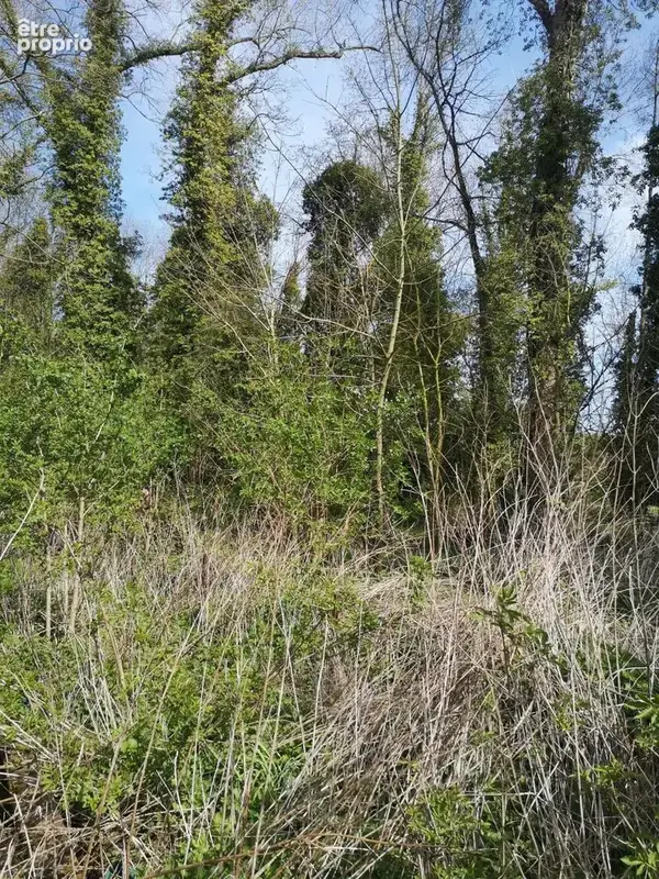 Terrain 661 m² à vendre à Thun-Saint-Martin (59141) - photo 2
