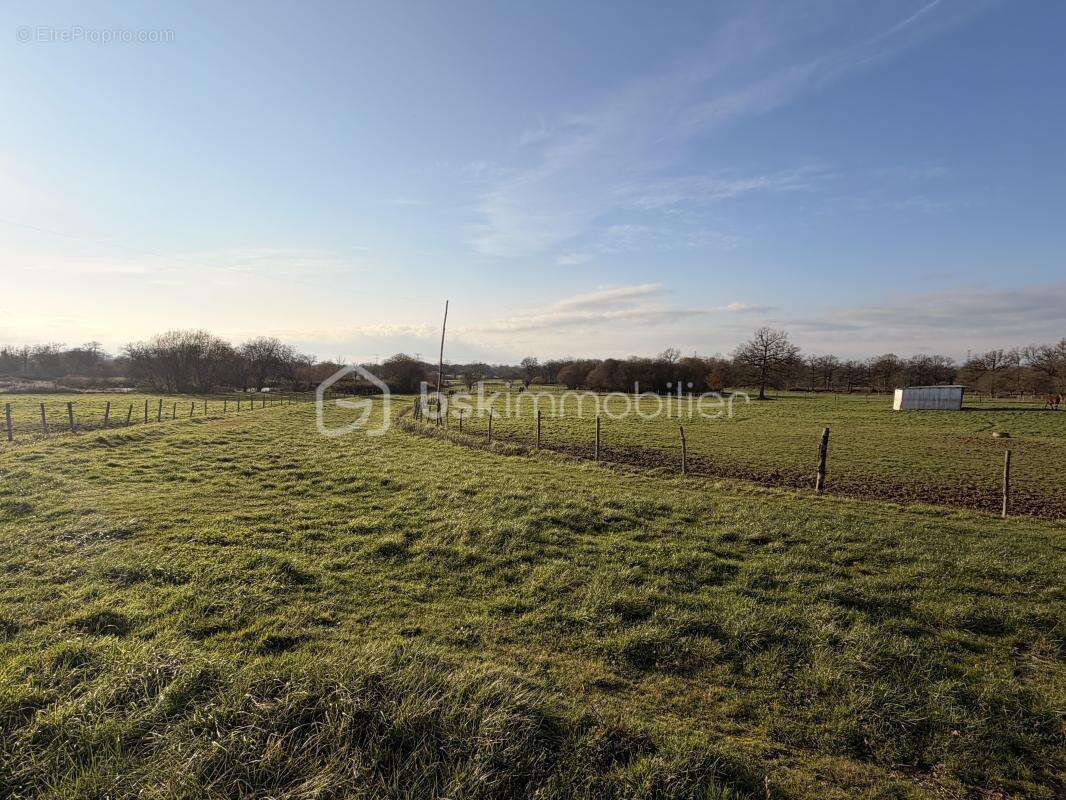 Maison à SAINT-PIERRE-LA-COUR