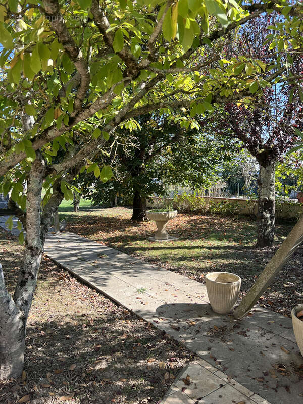 Maison à SAINT-PAUL-CAP-DE-JOUX