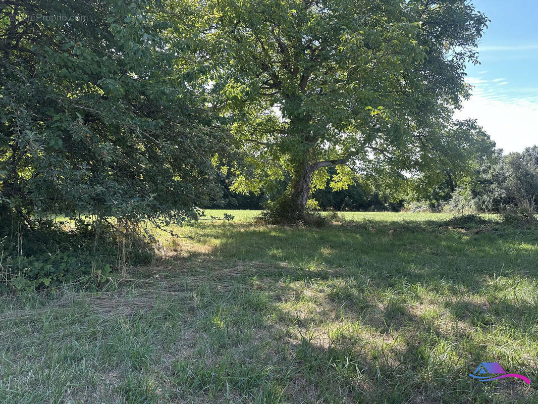 Terrain à SIDIAILLES