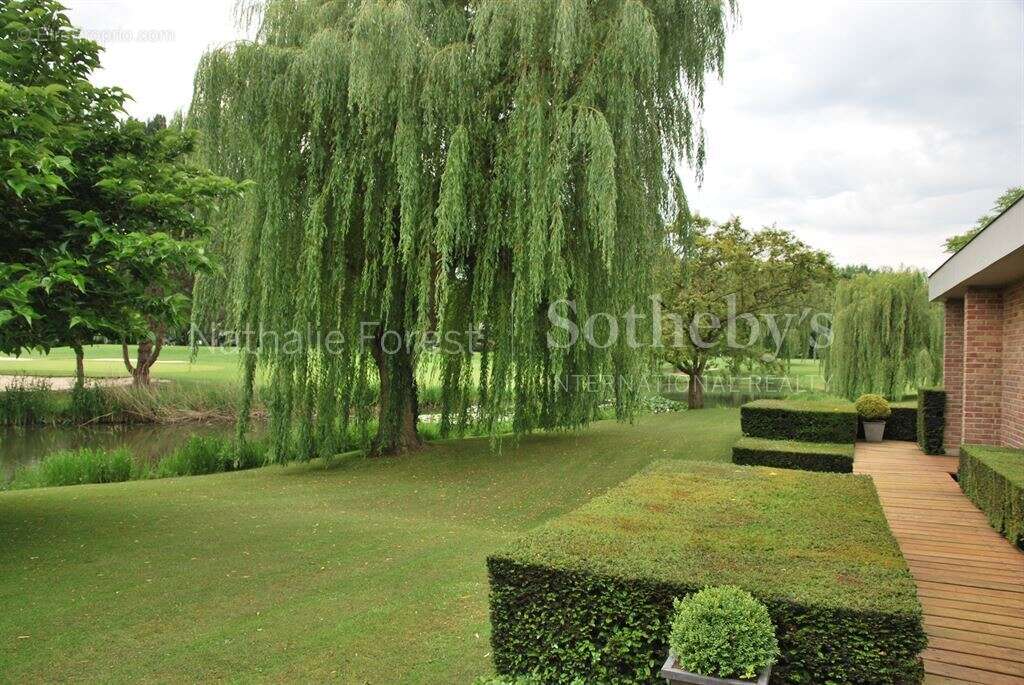 Maison à VILLENEUVE-D'ASCQ