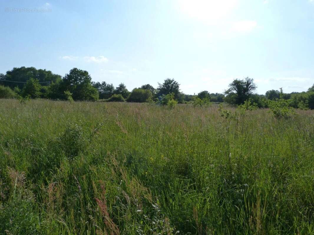 Vente Terrain Vignoux-sur-barangeon(18500) 59 900ï¿œ - photo 4