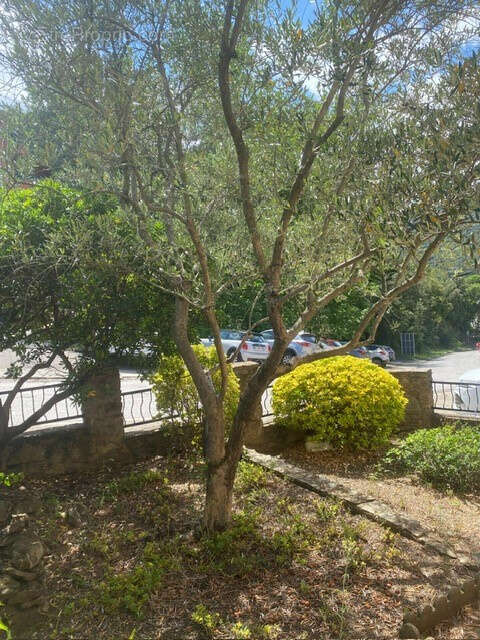 Maison à AMELIE-LES-BAINS-PALALDA