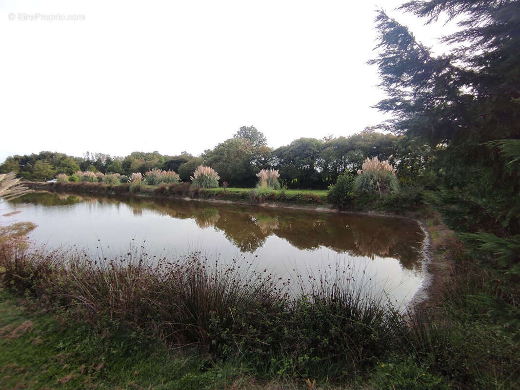 Terrain à SAINT-GEORGES-DE-POINTINDOUX