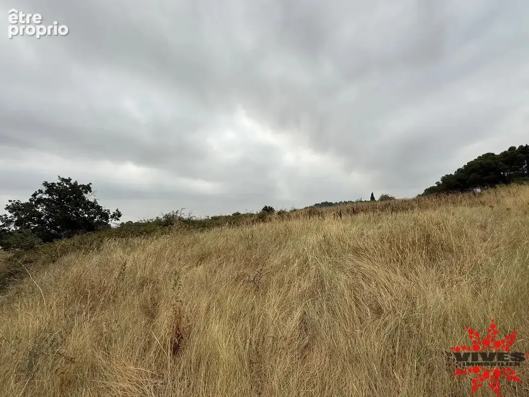 Terrain agricole ou de loisirs - photo 3