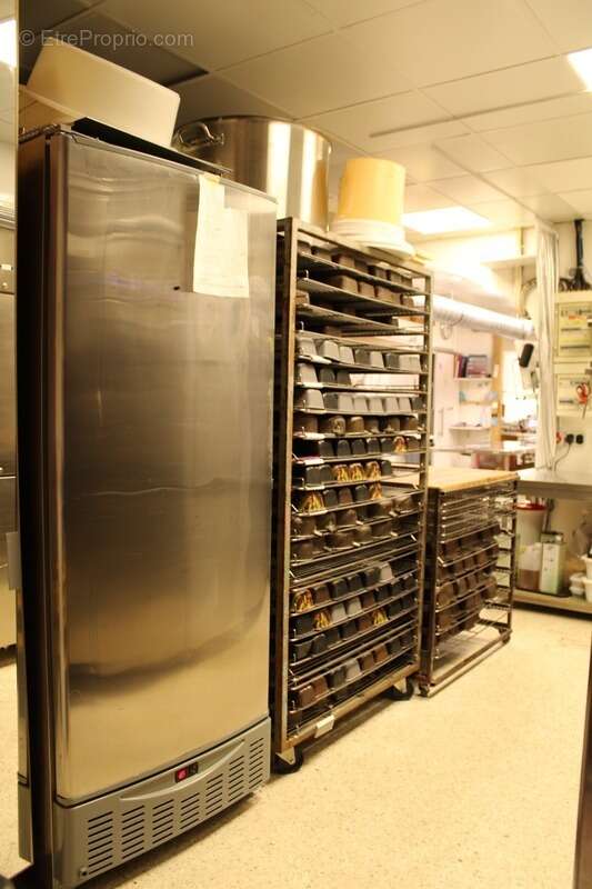 Commerce à SAINT-LAURENT-DU-VAR