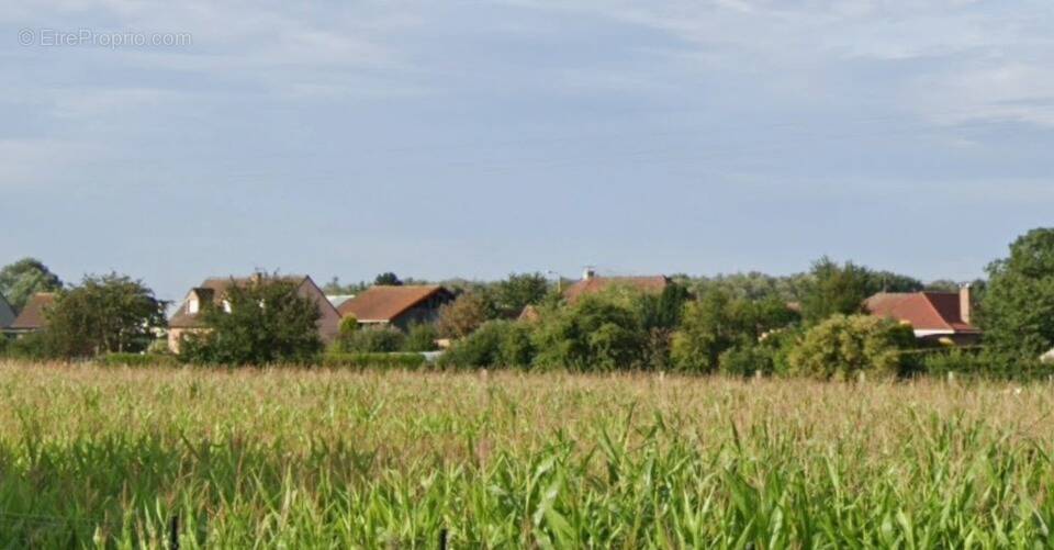 Terrain à HANTAY