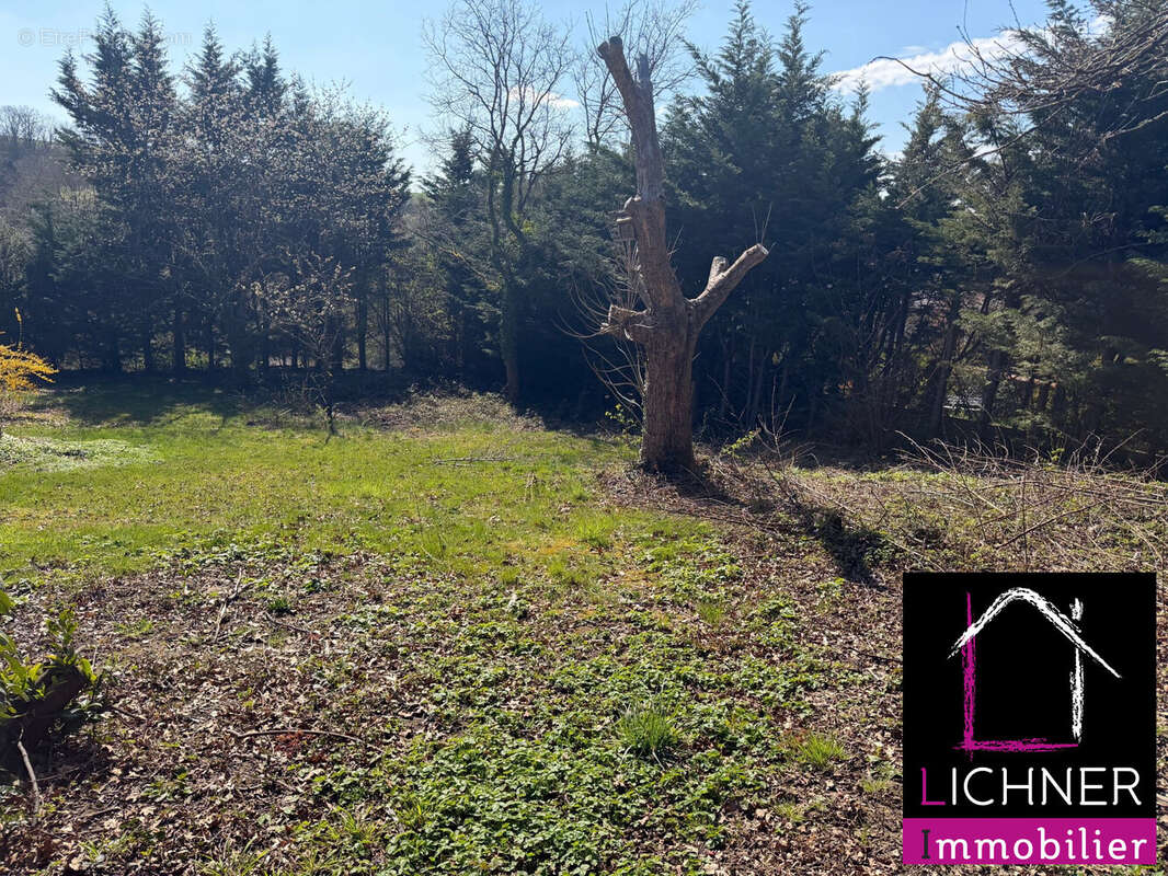 Terrain à SAINT-AVOLD