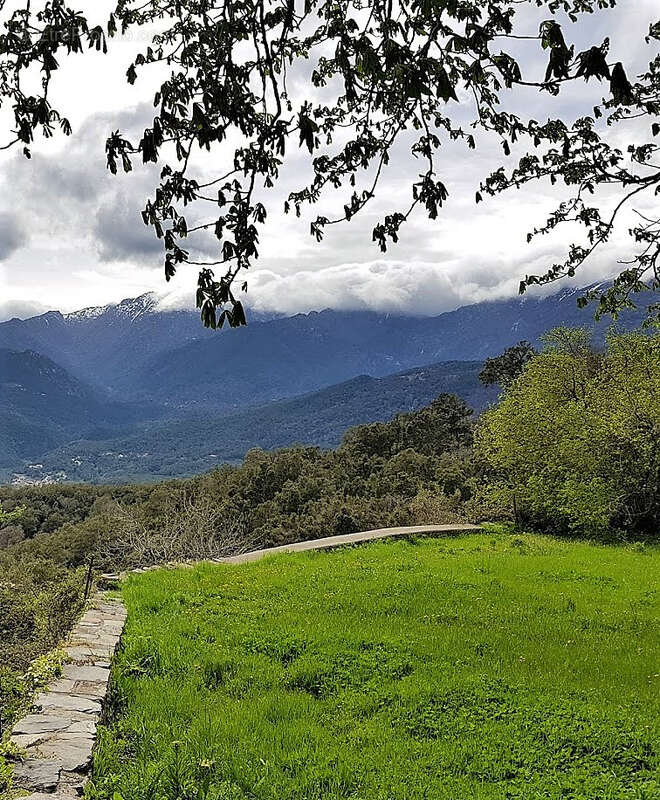 Terrain à PRUNELLI-DI-FIUMORBO