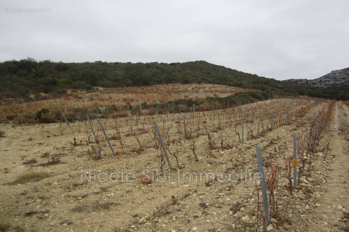 Terrain à LESQUERDE