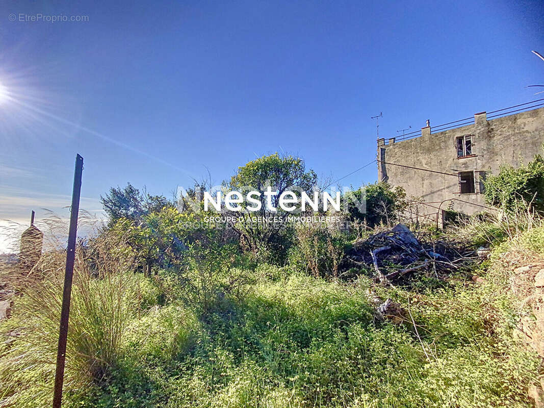 Terrain à VALLAURIS