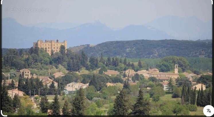 Terrain 300 m² à Montfaucon  - photo 2