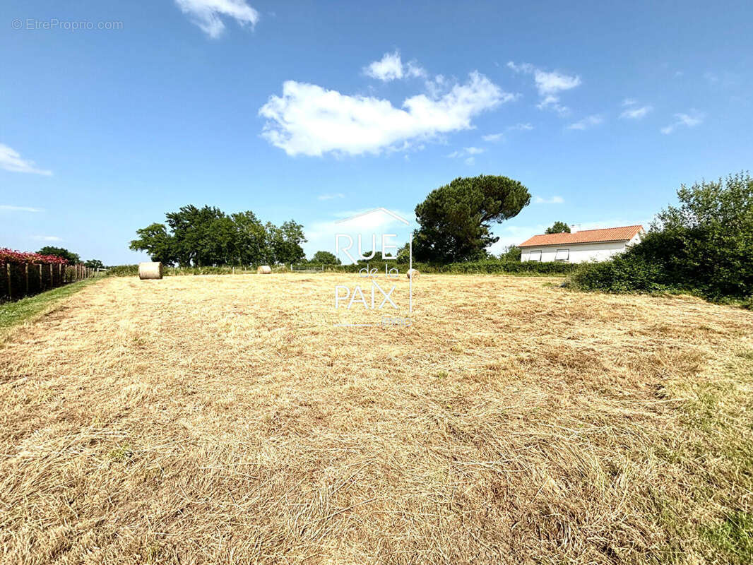 Terrain à LE TALLUD