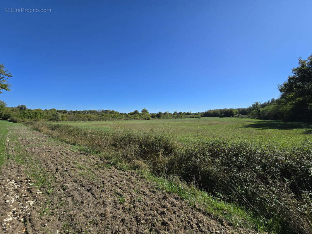 Propriété agricole avec maisons, dépendances, prairies et terres agricoles   Cher (18), proche Champagne berrichonne - photo 10