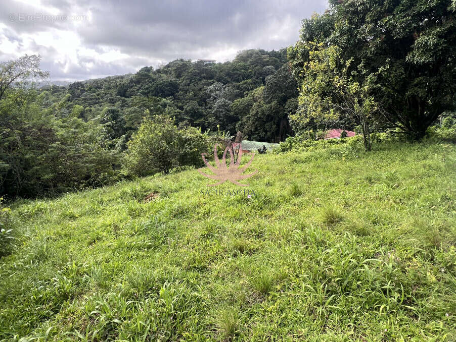 Terrain à SAINTE-MARIE