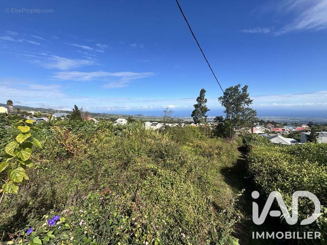 Terrain 2219 m² à Saint-Pierre  - photo 2