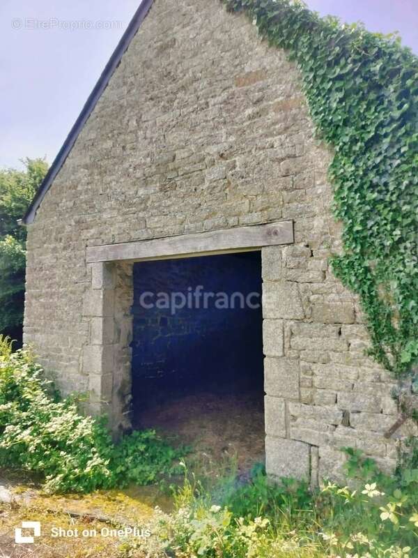 Propriété de caractère à berrien - hangar - 6 hectares - photo 12