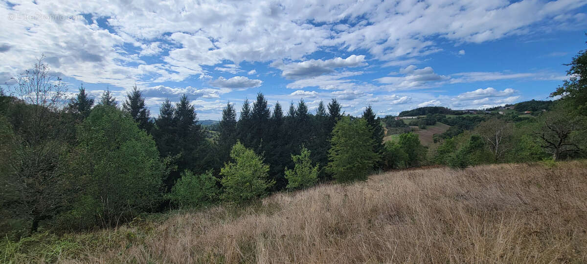 Terrain à BEYNAT