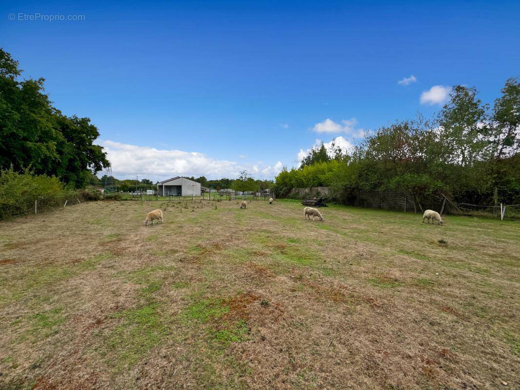 Terrain à SAINT-ASTIER