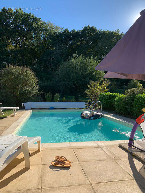 Maison à MONTAYRAL