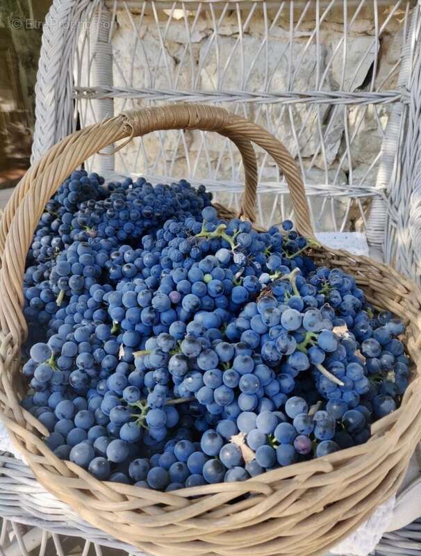 Magnifique Mas plein de charme à vendre à Roquefort-les-Pins / Côte d'Azur, - photo 19