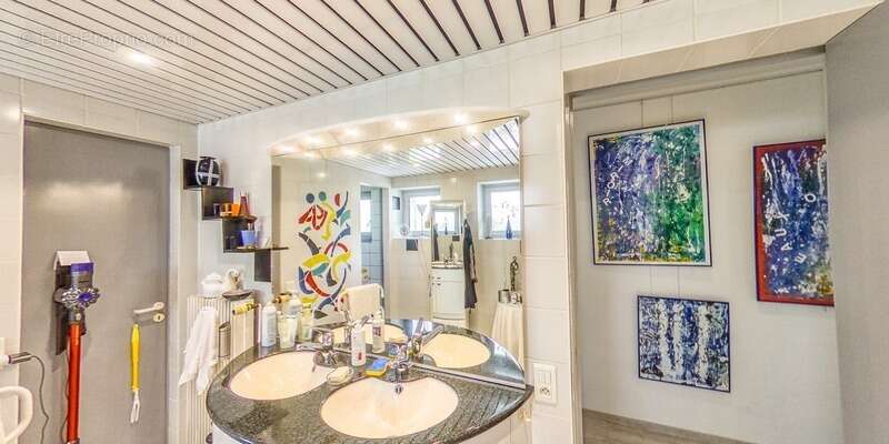 Dpt Haut-Rhin (68), à vendre MULHOUSE maison d'architecte 372 m2 dans son magnifique jardin - photo 14