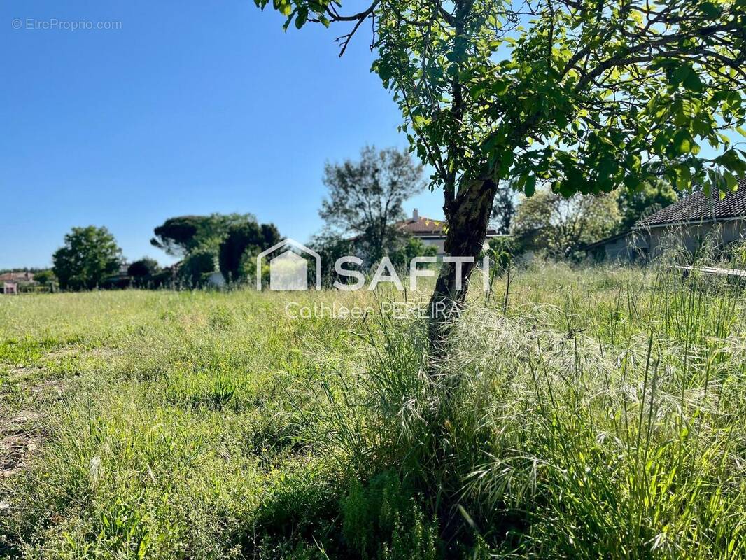 Photo 1 - Terrain à GAILLAC