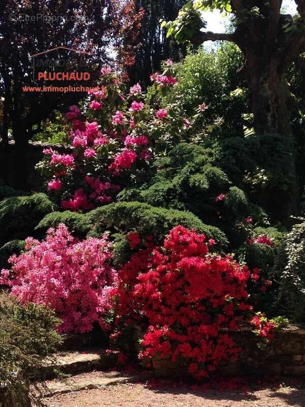 Maison à PARAY-LE-MONIAL